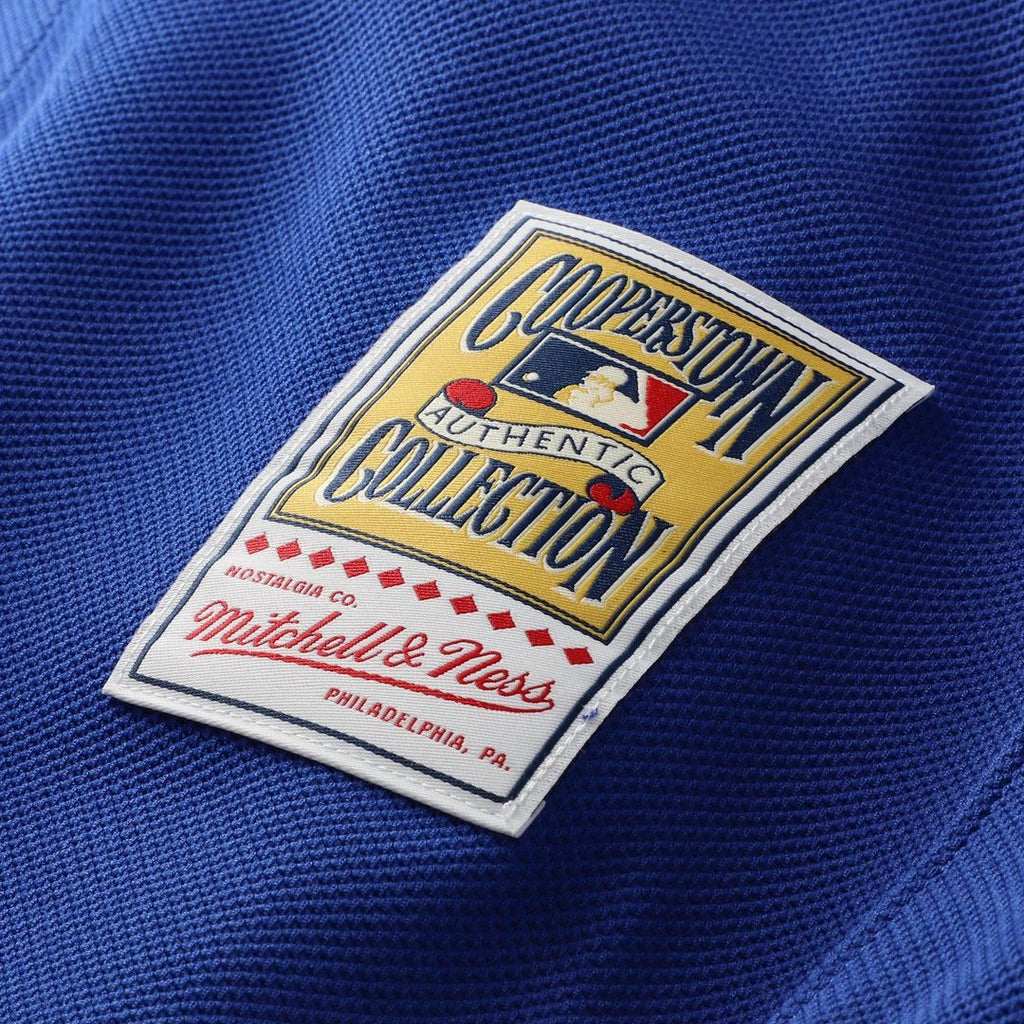 Los Angeles Dodgers Mitchell & Ness Jersey Royal