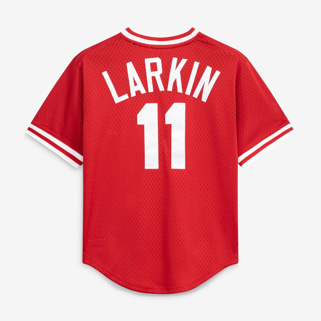 Cincinnati Reds Mitchell & Ness Authentic Jersey Red