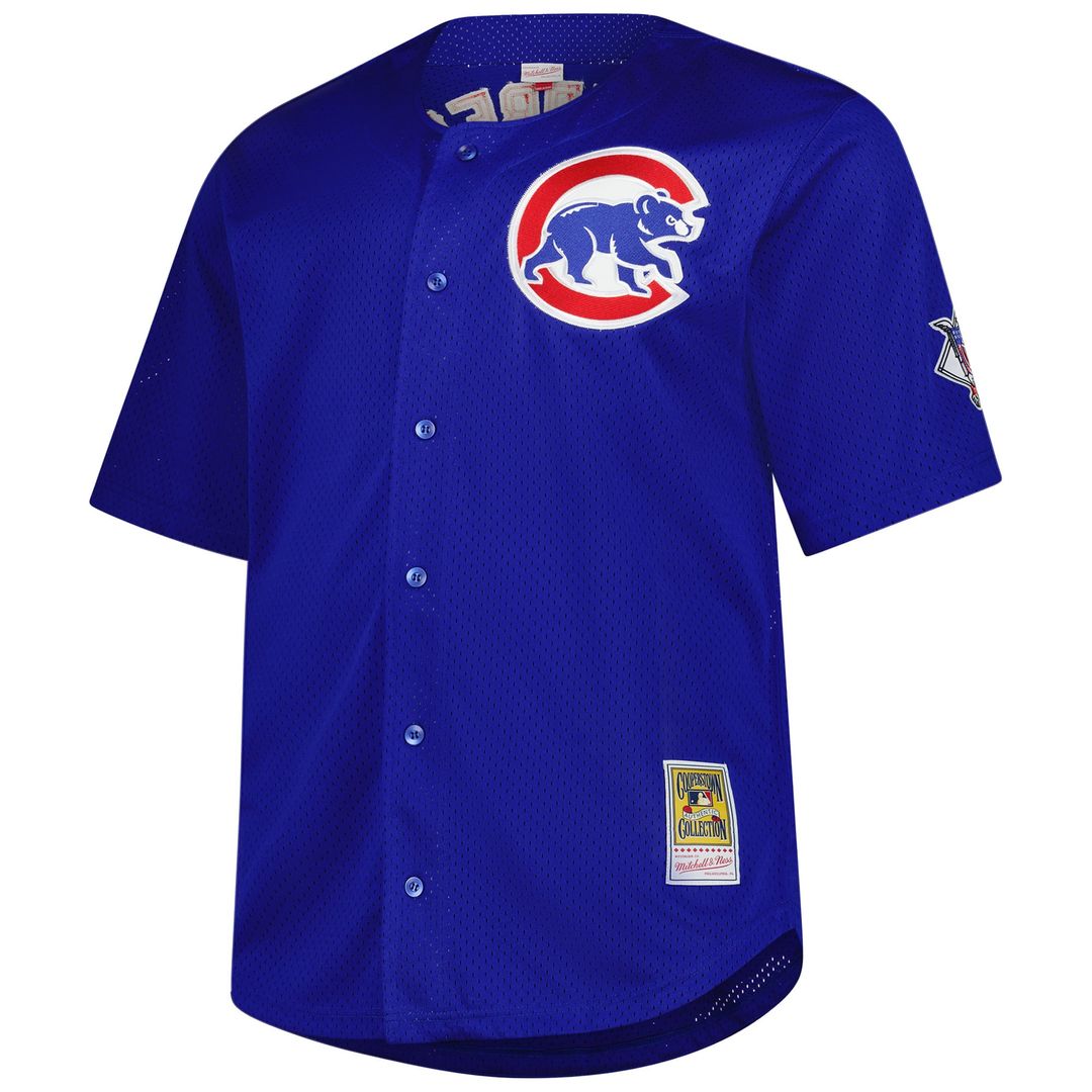 Chicago Cubs Mitchell & Ness Authentic Jersey Royal