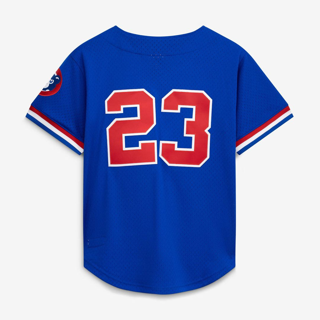 Chicago Cubs Mitchell & Ness Jersey Royal