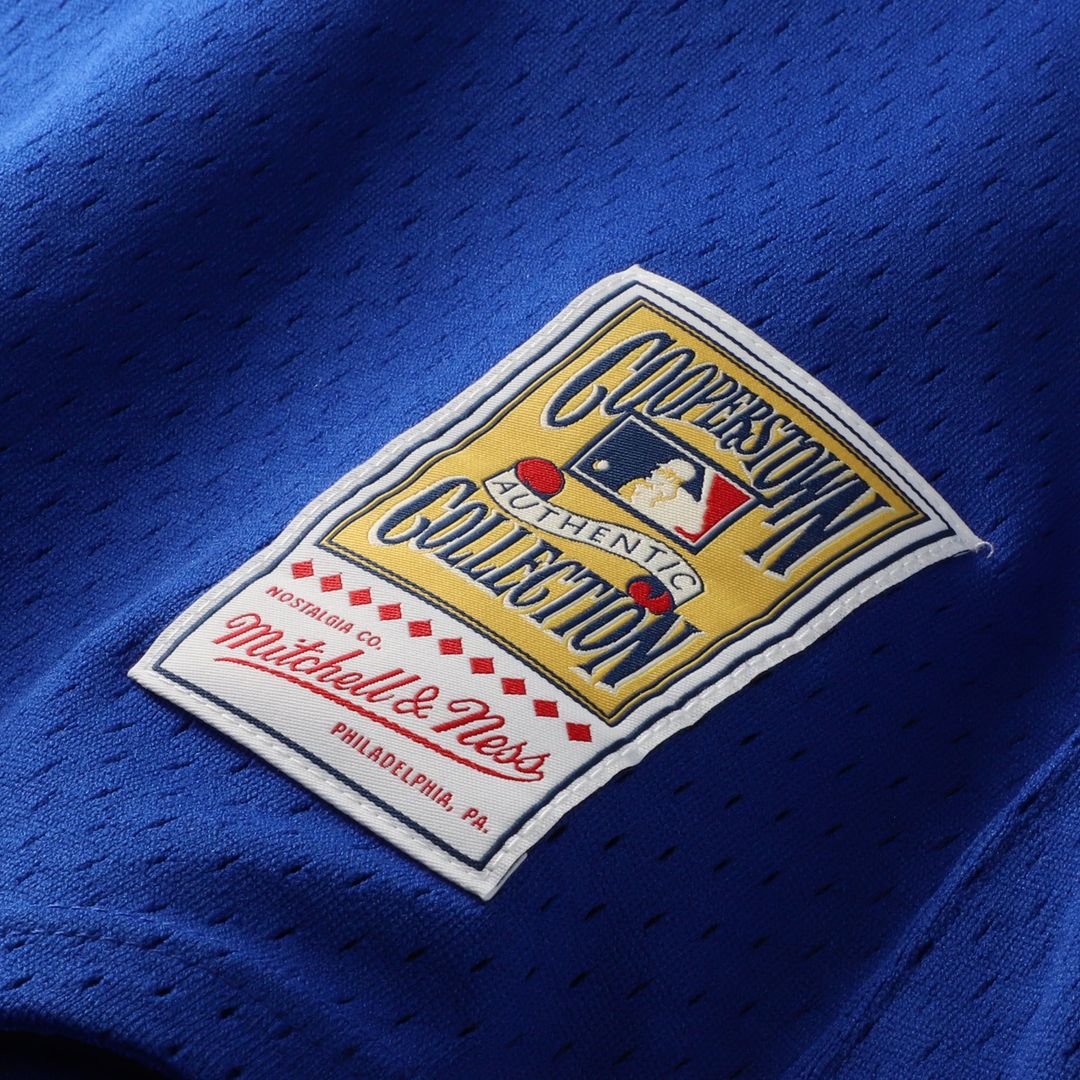 Toronto Blue Jays Mitchell & Ness Authentic Jersey Blue