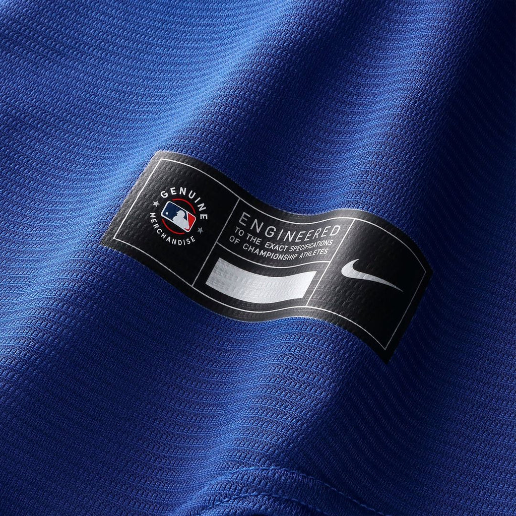France National Team Nike Replica Jersey Blue