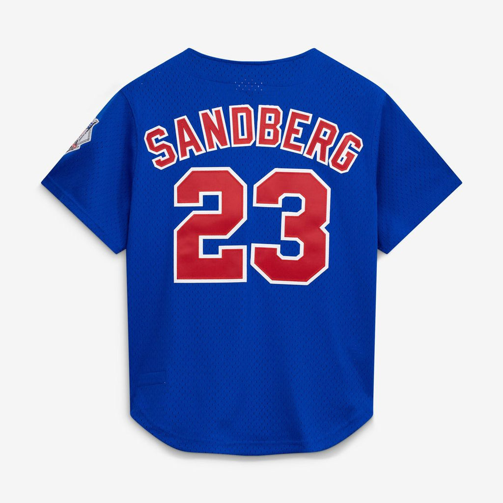 Chicago Cubs Mitchell & Ness Jersey Royal