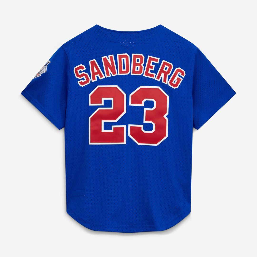 Chicago Cubs Mitchell & Ness Jersey Royal
