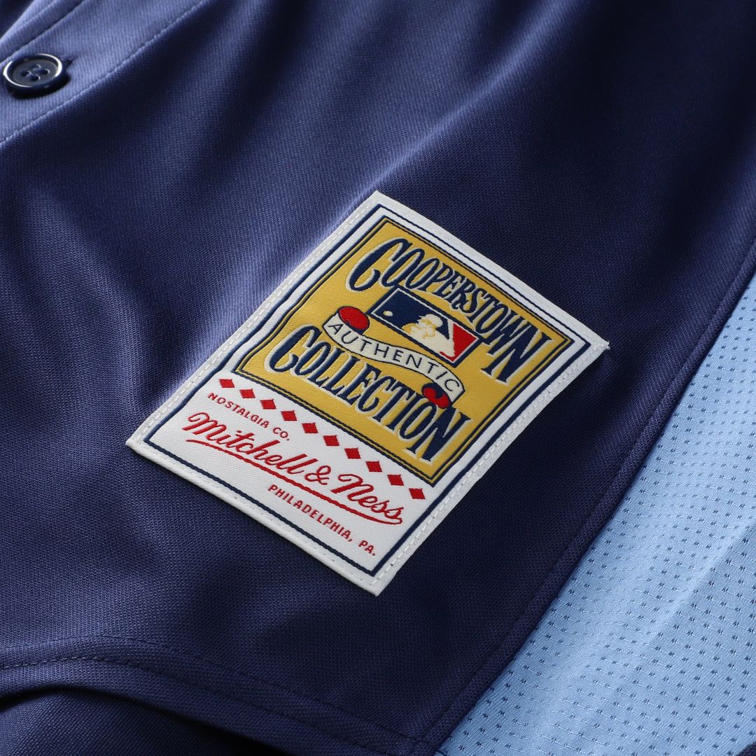 Tampa Bay Rays Mitchell & Ness Authentic Jersey Blue