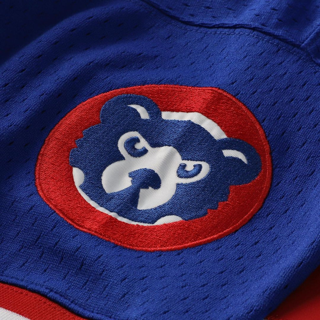 Chicago Cubs Mitchell & Ness Jersey Royal