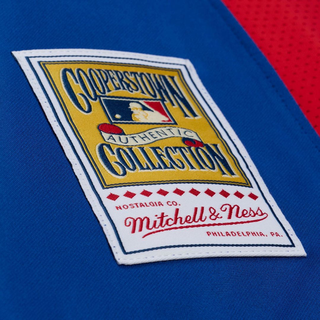 Texas Rangers Mitchell & Ness Jersey Royal