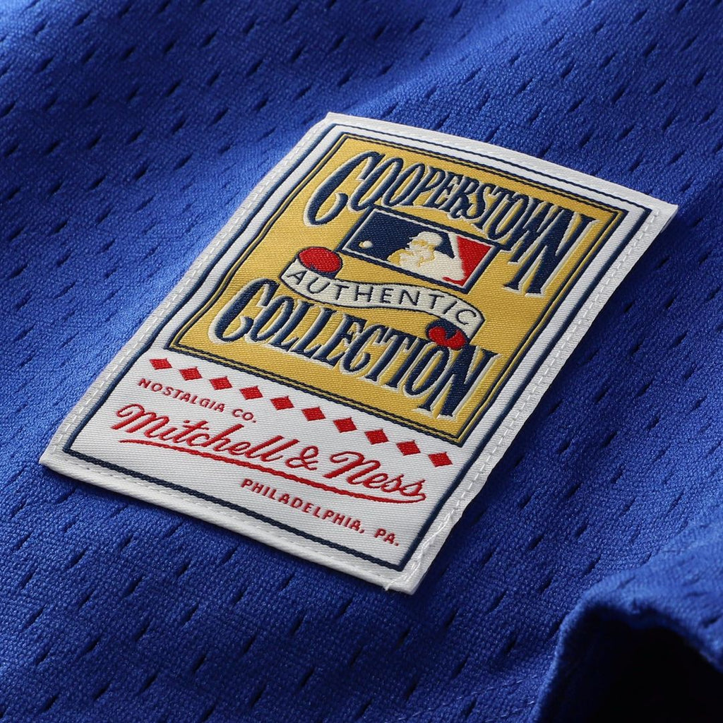 Chicago Cubs Mitchell & Ness Jersey Royal