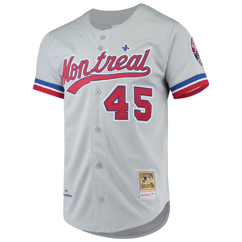 Montreal Expos Mitchell & Ness Authentic Jersey Gray