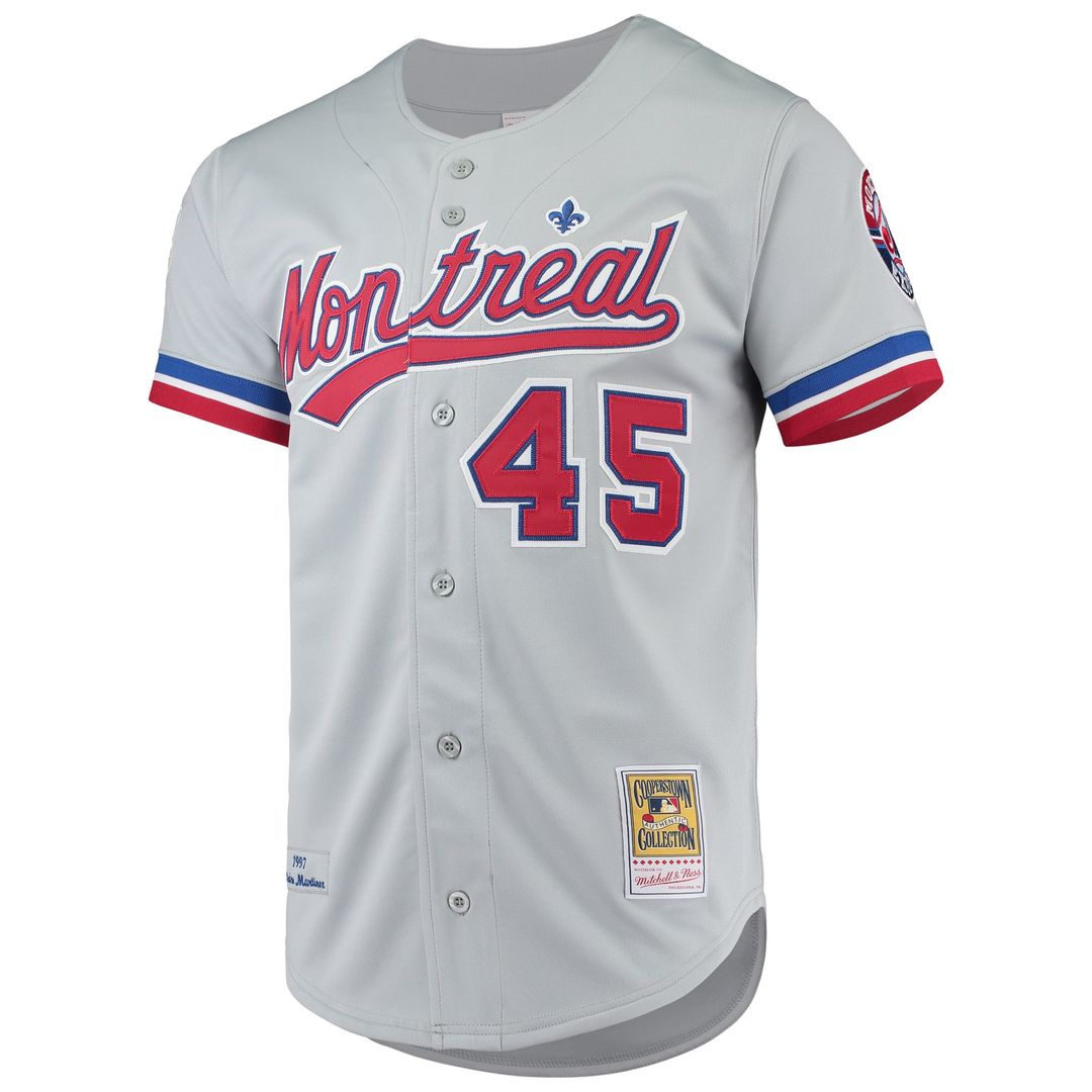 Montreal Expos Mitchell & Ness Authentic Jersey Gray