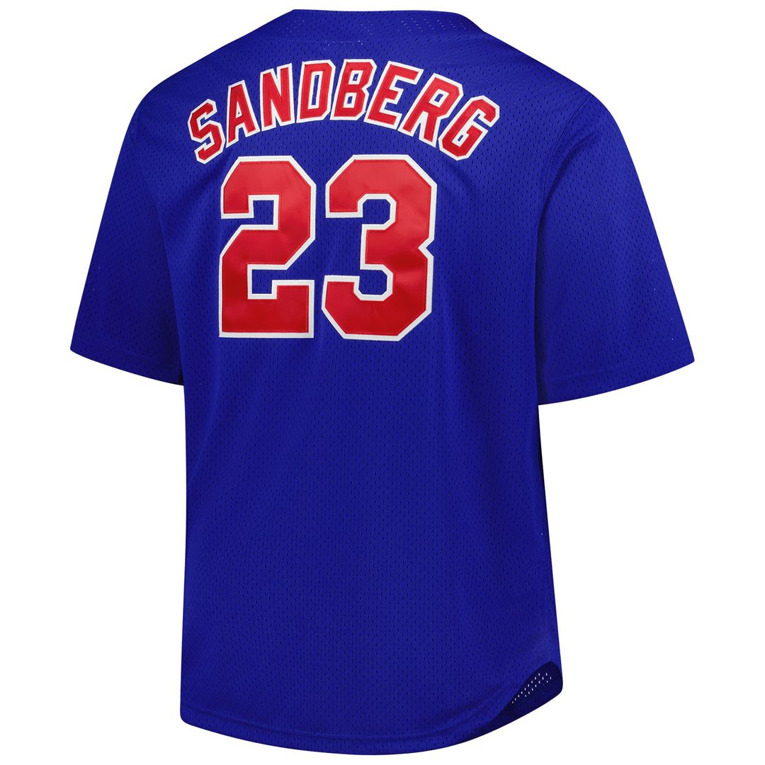 Chicago Cubs Mitchell & Ness Authentic Jersey Royal