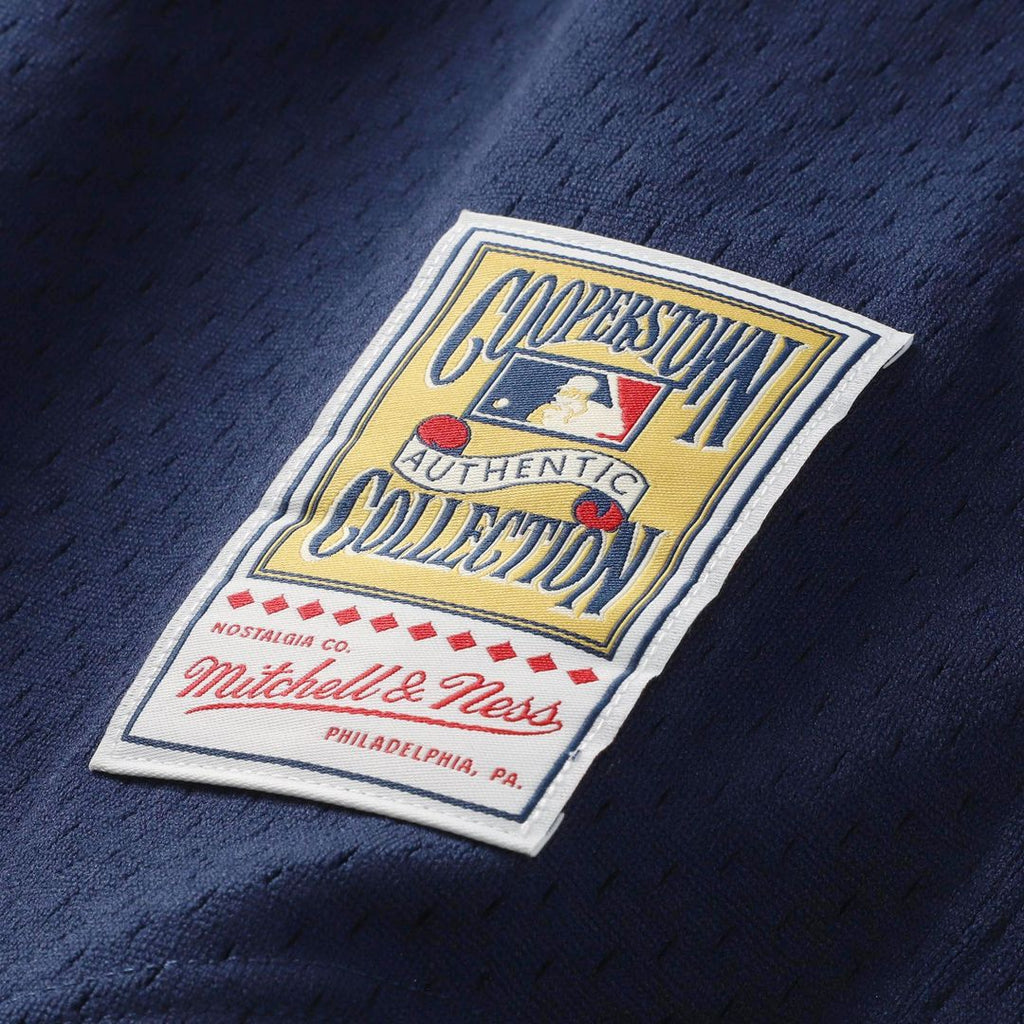 Houston Astros Mitchell & Ness Authentic Jersey Navy