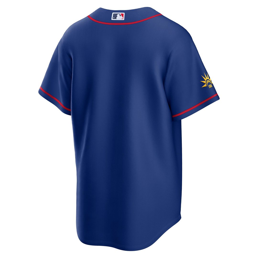 France National Team Nike Replica Jersey Blue