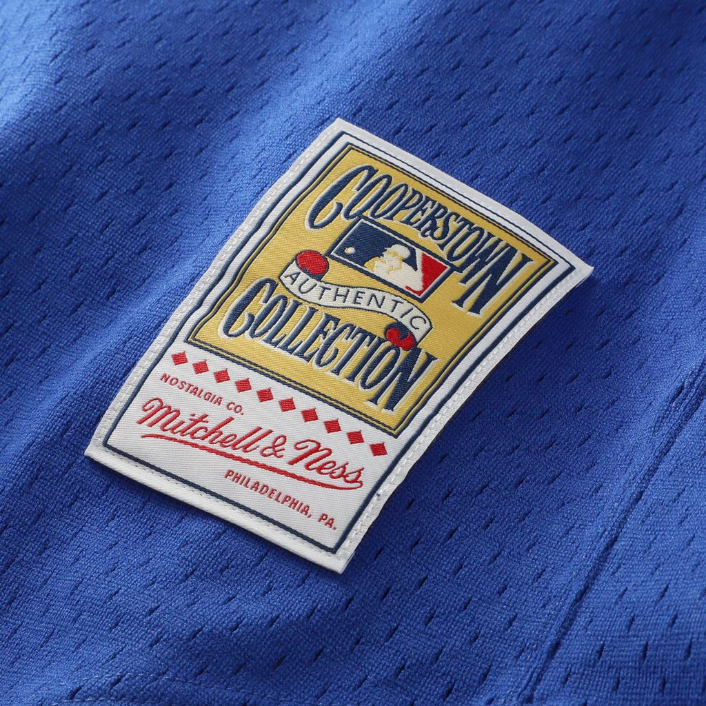 Texas Rangers Mitchell & Ness Authentic Jersey Royal