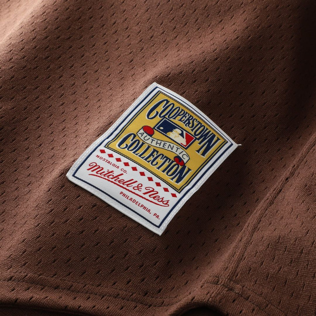 San Diego Padres Mitchell & Ness Authentic Jersey Brown