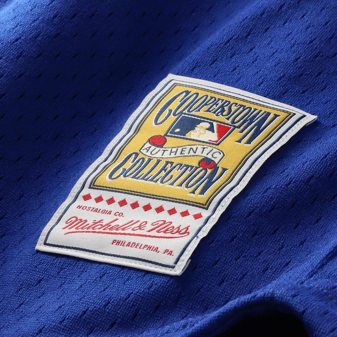 Chicago Cubs Mitchell & Ness Jersey Royal