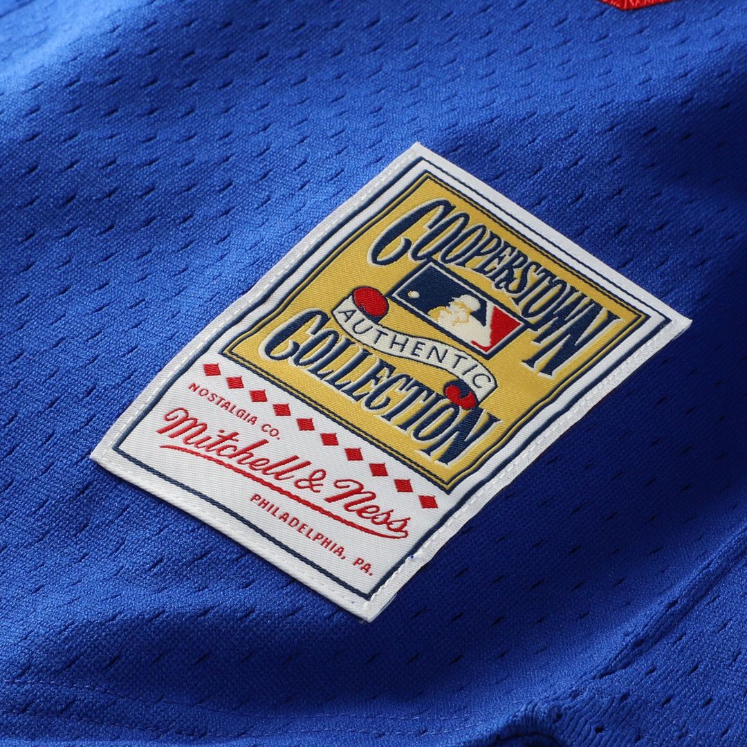 Los Angeles Dodgers Mitchell & Ness Authentic Jersey Royal