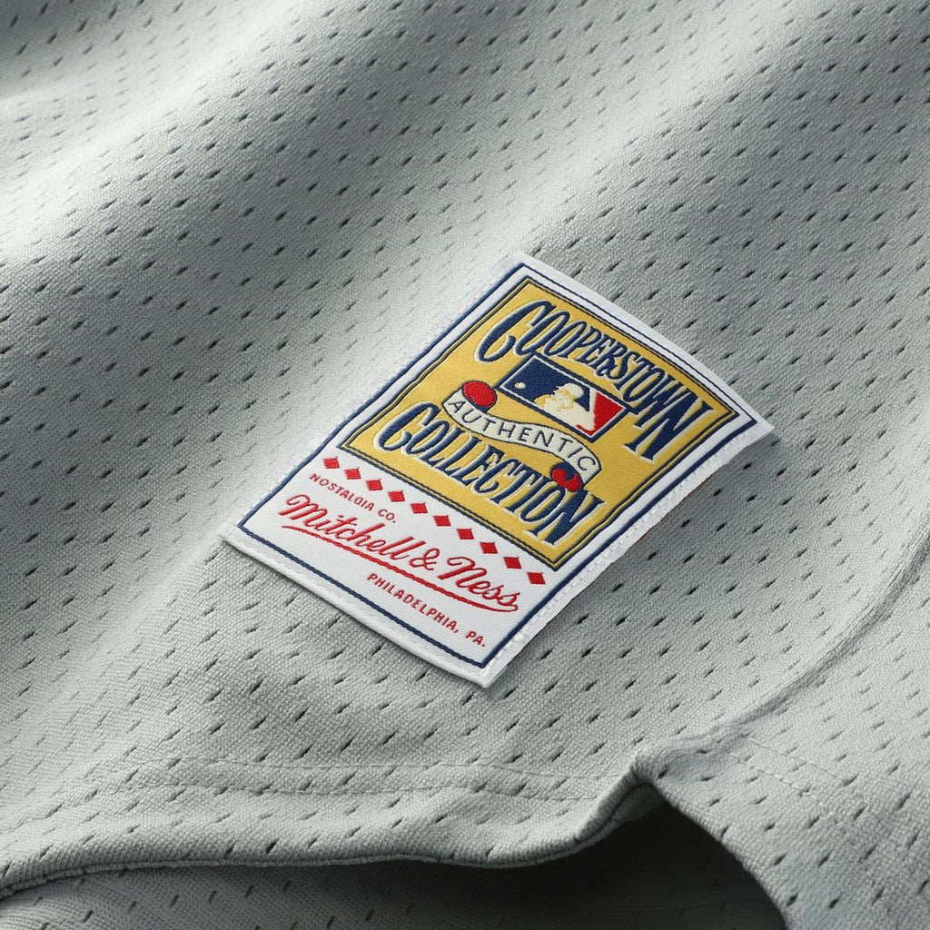 San Francisco Giants Mitchell & Ness Authentic Jersey Gray