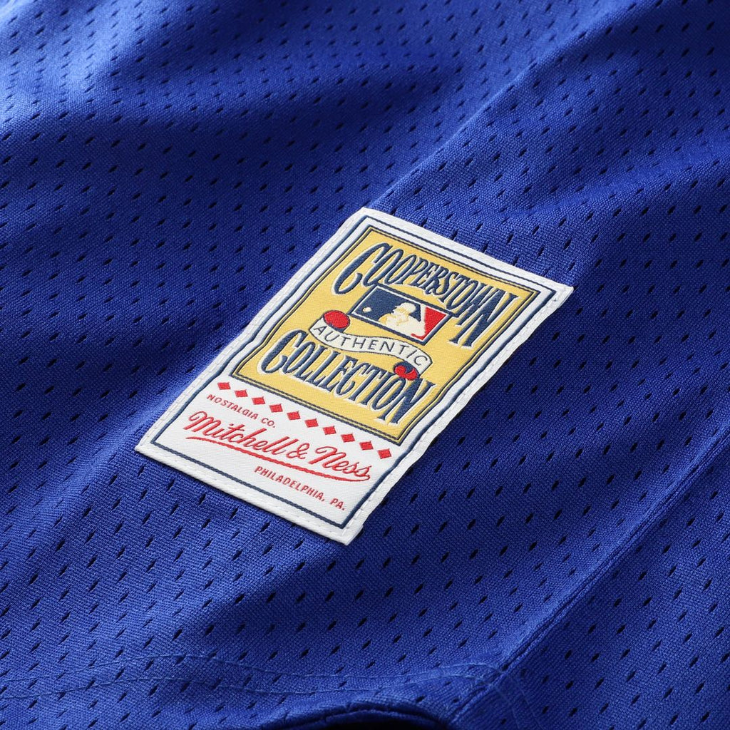 Kansas City Royals Mitchell & Ness Authentic Jersey Royal
