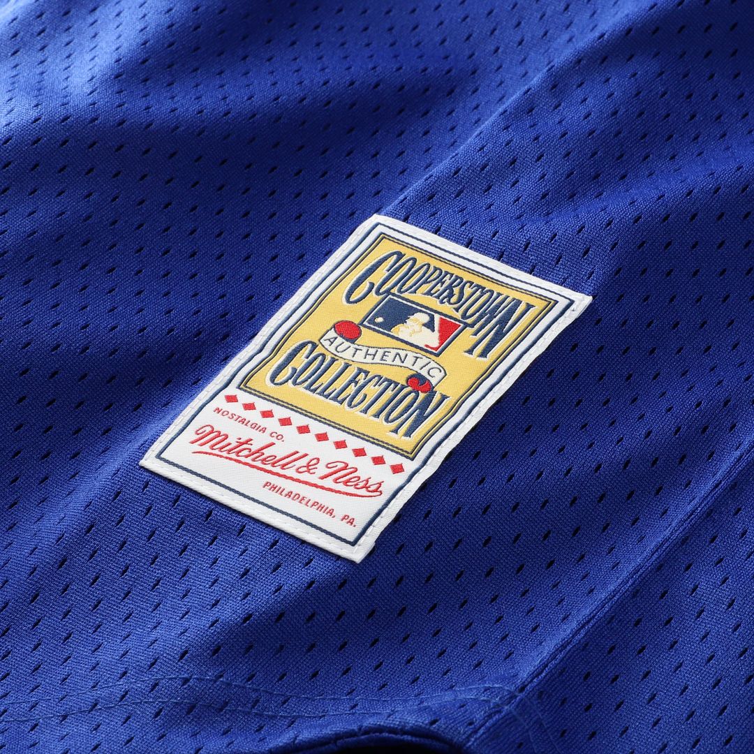 Kansas City Royals Mitchell & Ness Authentic Jersey Royal